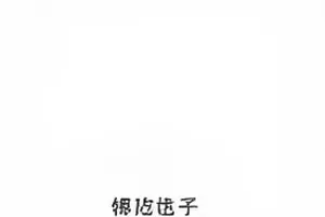一首歌的版权之争封面，乐谱与录音棚话筒